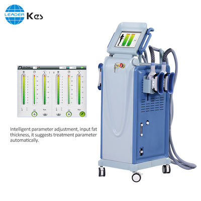 Máquina de Cryolipolysis RF Cryolipolysis Vacuum Slimming Device