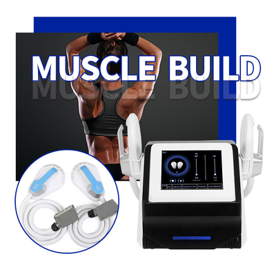 Odm do Oem da máquina de  ems sculpting da beleza do emagrecimento do corpo