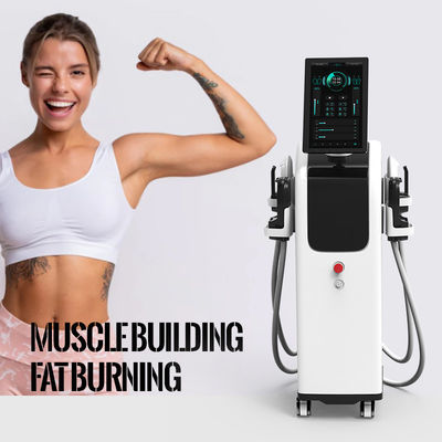 Máquina de escultura automática EMS para formação de profissionais ABS