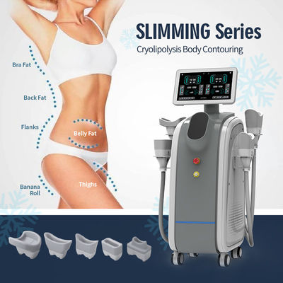 Máquina de emagrecimento congelador de perda de peso 1500W Potência Cryolipolysis OEM